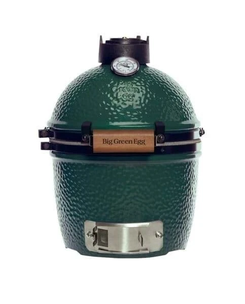 Big Green Egg Mini Solo