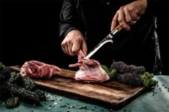 Forged Olive Uitbeenmes 16cm 7 Forged Olive Uitbeenmes 16cm -Kamado Verkoopwinkel forged olive uitbeenmes 16cm 2